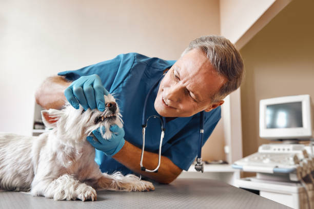 Best Emergency Tooth Extraction in Newcastle, OK
